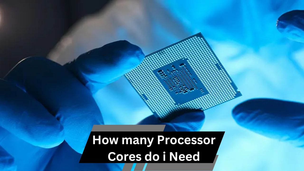 How many Processor Cores do i Need
